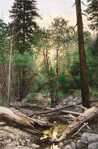 Yosemite