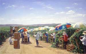 Vinyards